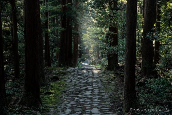 平泉寺白山神社の参道