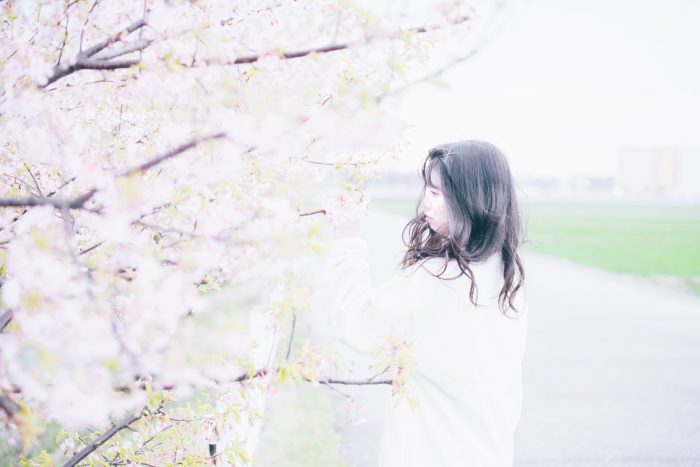 白山市美川の河津桜並木でポートレート撮影