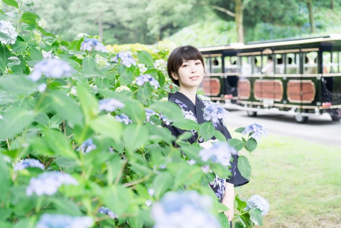太閤山ランドと紫陽花