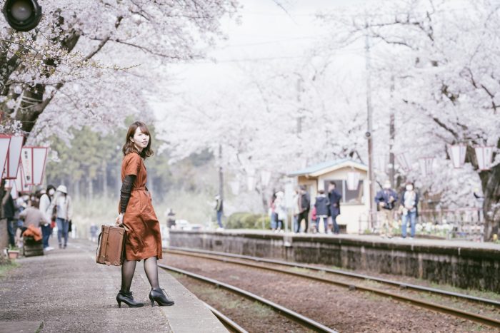 能登鹿島駅の桜ポートレート