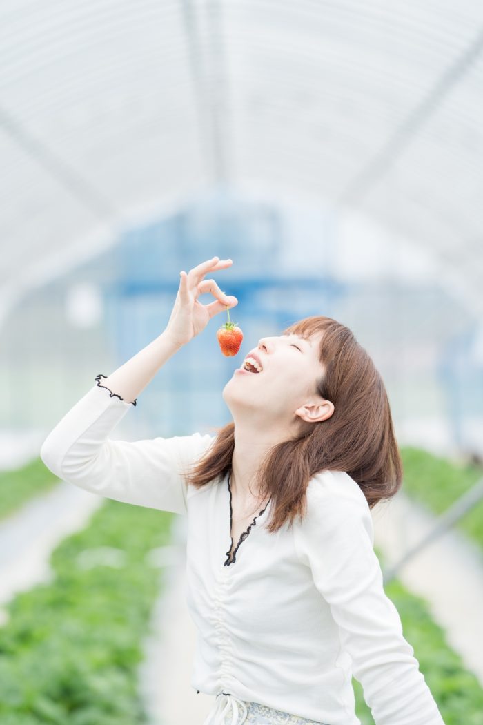 能登町赤崎いちご園